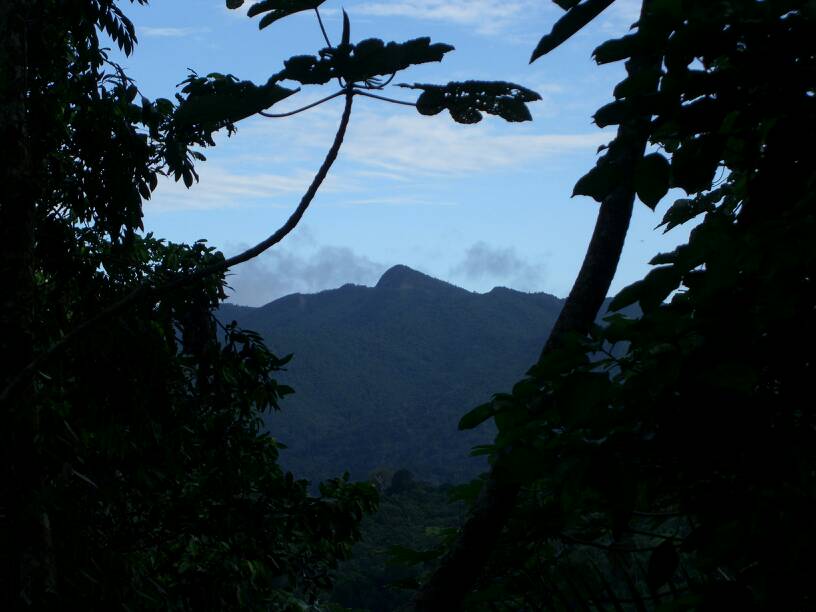 El Yunque - Huracan - Adventure Awaits