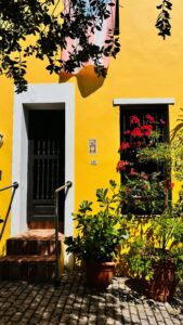 Colorful Entry