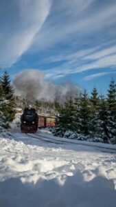 Fresh snow on the fir trees in the forest with a train sauntering along the tracks