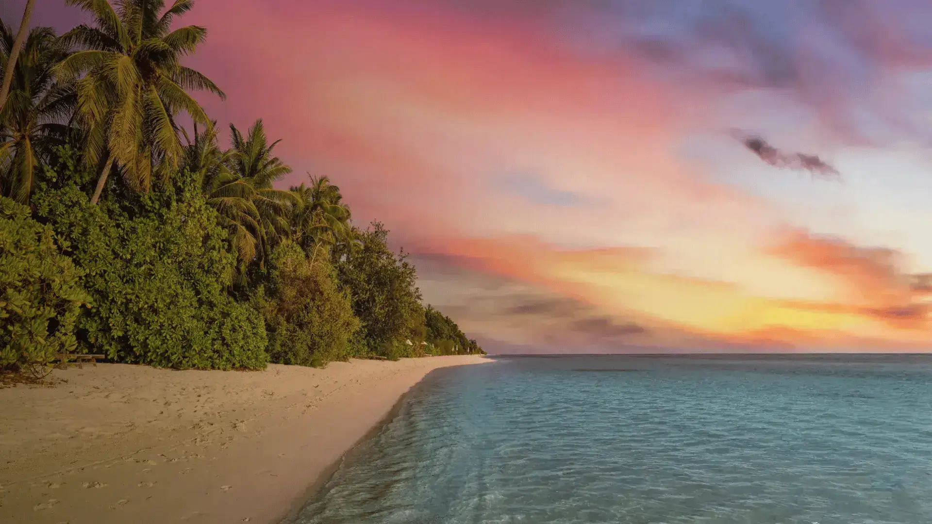 Travel Tranquility