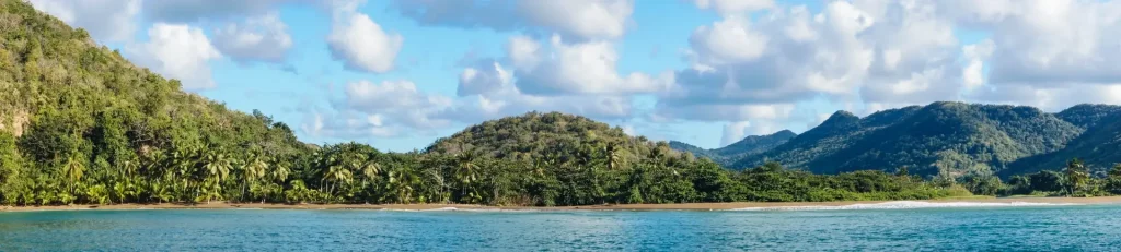 Panoramic view of lush green mountains and palm trees lining a pristine tropical beach in Saint Lucia.