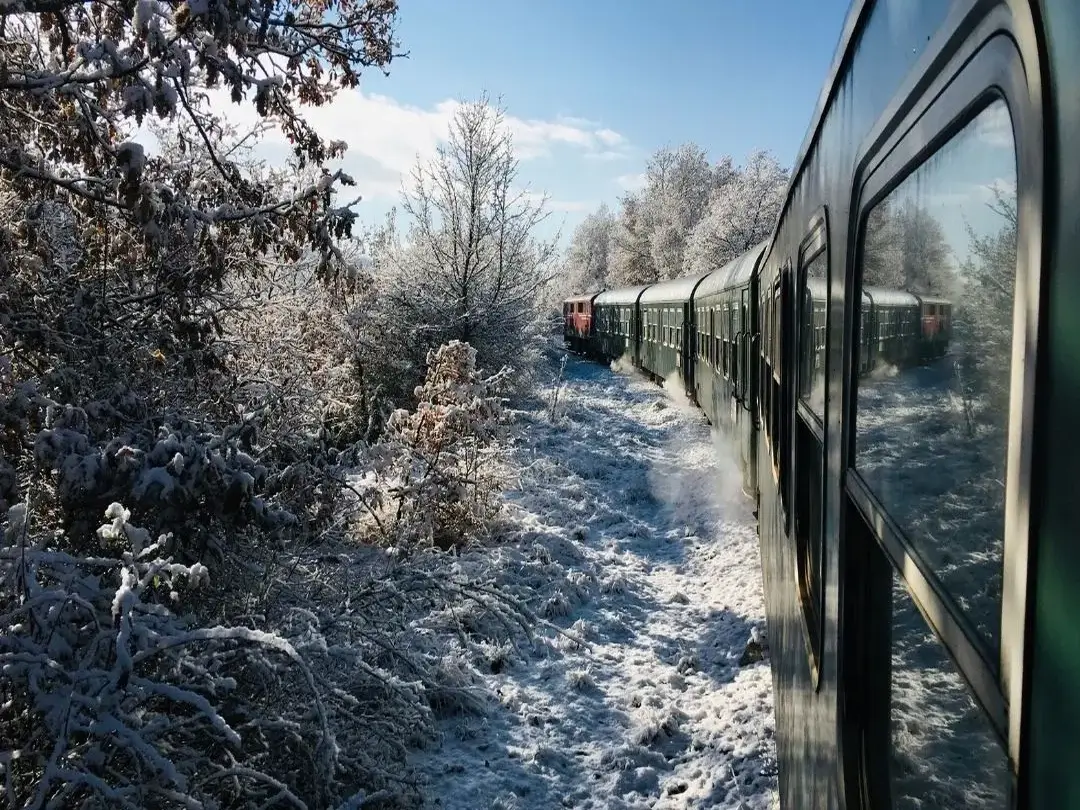 A scenic passenger train traveling through a lush European mountain landscape