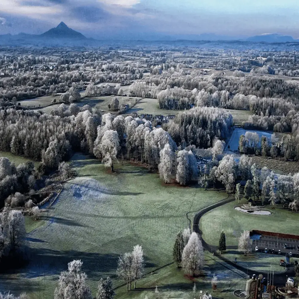 Aerial view of a vast, frost-covered winter landscape and forests with a distant mountain peak in Switzerland.