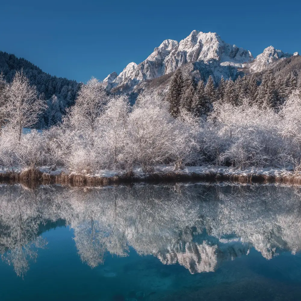 Crystal clear blue alpine lake perfectly reflecting the snow-capped mountain peaks and frosted trees.